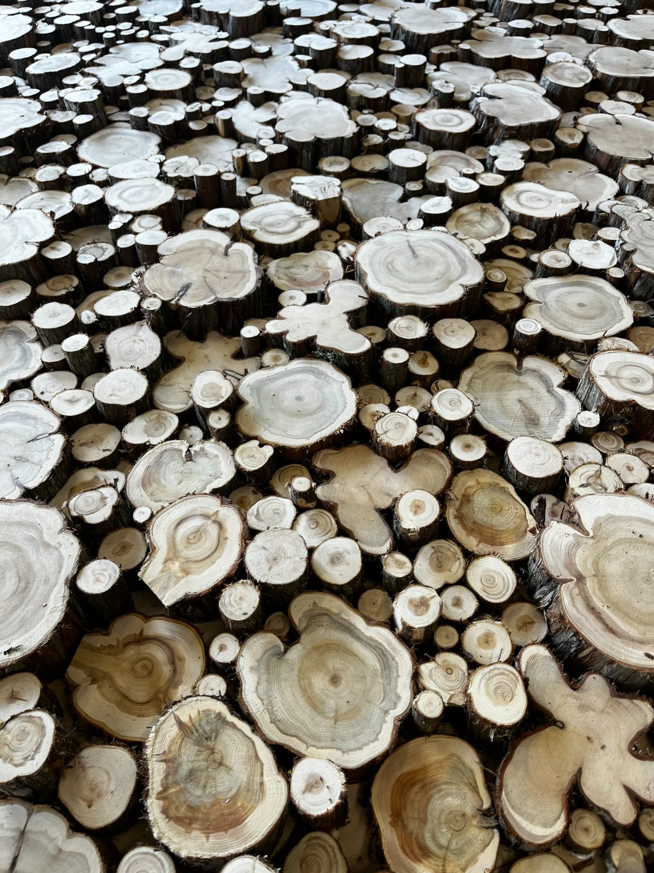Juniper panels for a luxury sauna interior