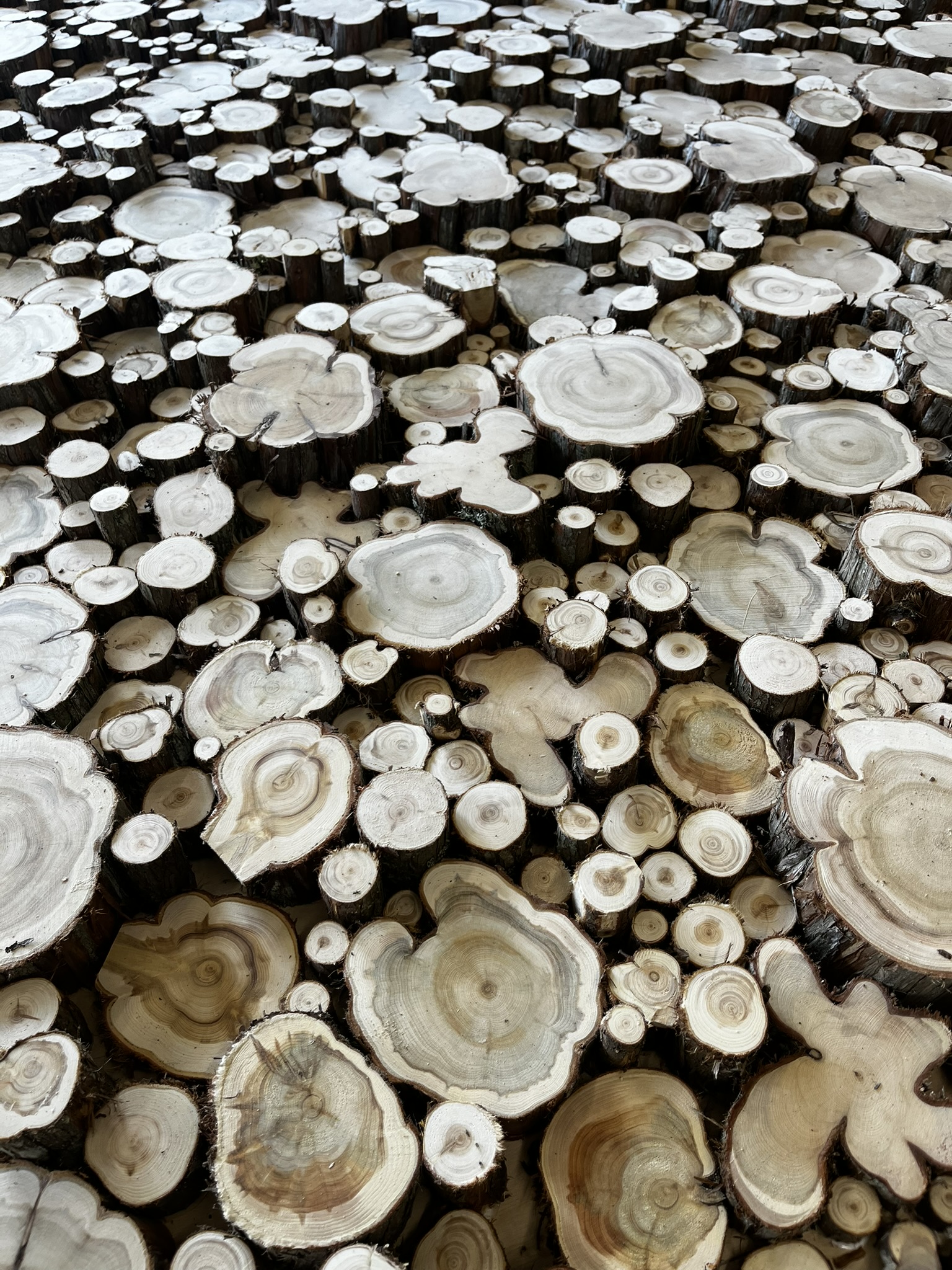 From an Idea to a Unique 3D Juniper Wall Panel for a Sauna Interior