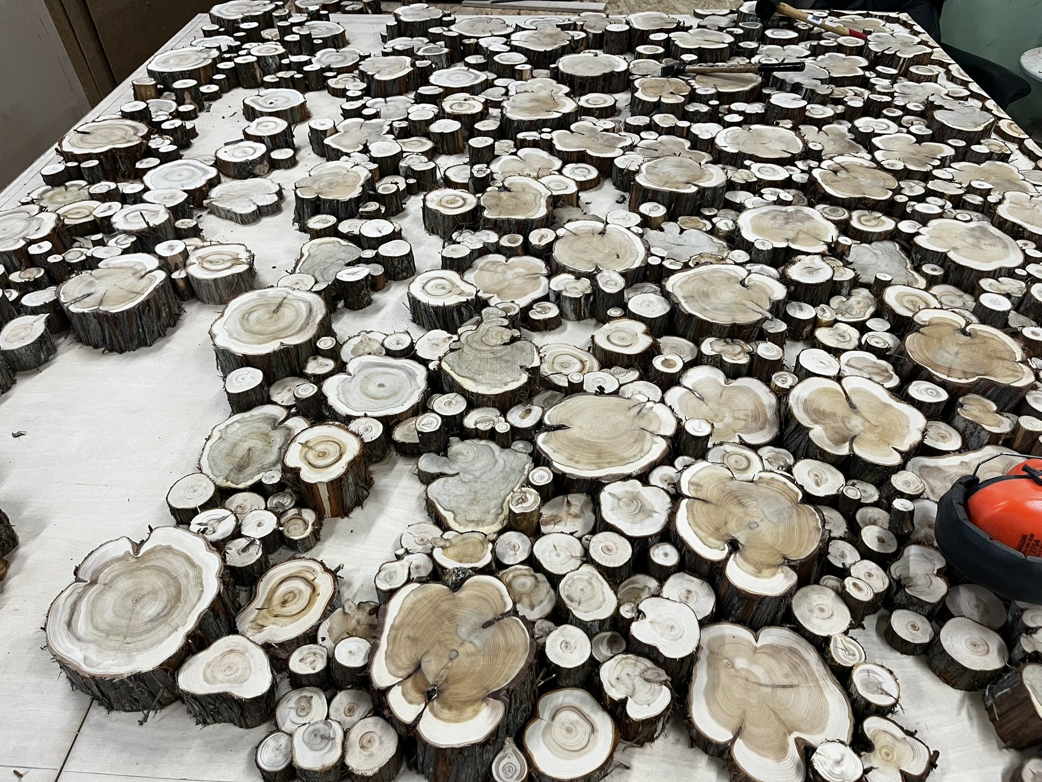 From an Idea to a Unique 3D Juniper Wall Panel for a Sauna Interior